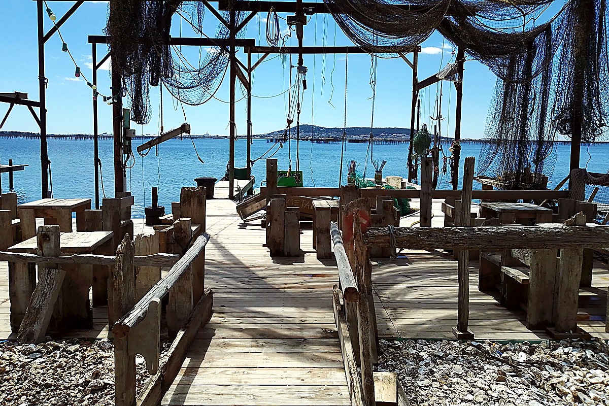 "Sea Air" Excursion: Around the Thau Lagoon – Cultural & Gastronomic Immersion