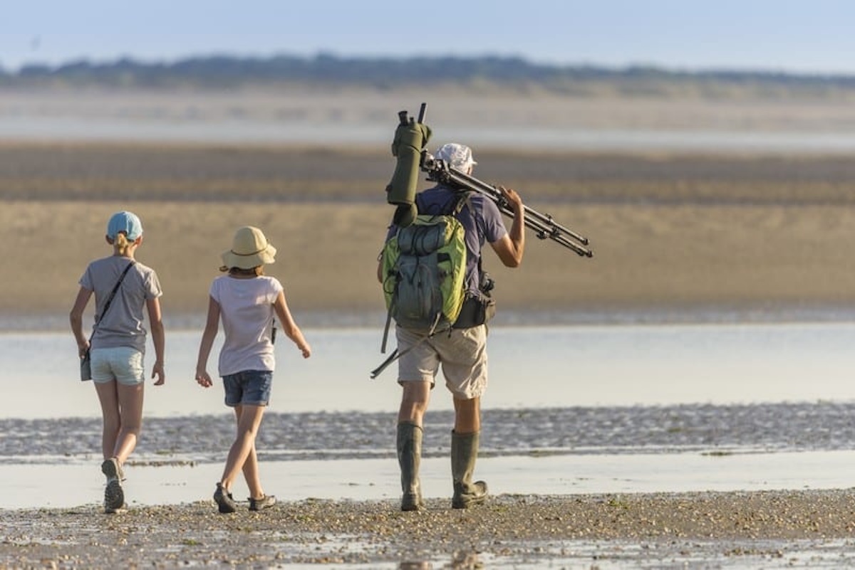 Walk in the Bay of Somme